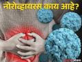 काय आहे नोरोव्हायरस ज्याचा अमेरिकेत वाढतोय कहर? जाणून घ्या पूर्ण डिटेल्स! - Marathi News | What is Norovirus, which is raising in America? Know the full details! | Latest health News at Lokmat.com