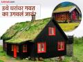 'या' देशात घराच्या छतांवर उगवलं जातं गवत, हिरव्या छतामागे दडलं आहे इंटरेस्टींग रहस्य - Marathi News | Norway traditional turf or green moss roofs know the reason | Latest jarahatke Photos at Lokmat.com