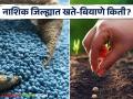 Kharip Season : नाशिक जिल्हयात खते व बियाणे किती उपलब्ध? इथं वाचा सविस्तर  - Marathi News | Latest News How much fertilizers and seeds are available in Nashik district? see details | Latest agriculture News at Lokmat.com
