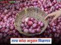 Kanda Anudan : कांदा अनुदानासाठी फार्मर आयडी आवश्यक, कोणत्या जिल्ह्याला किती पैसे मिळणार? - Marathi News | Latest news Kanda Anudan Farmer ID is required for onion subsidy, see subsidy approved district-wise | Latest agriculture News at Lokmat.com