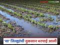 जून आणि ऑगस्ट महिन्यातील अतिवृष्टीमुळे नुकसान झालेल्या 'या' जिल्ह्यांची मदत आली - Marathi News | Latest news Nuksan Bharpai Help arrived for these districts were crops damaged by heavy rains in June and August | Latest agriculture News at Lokmat.com