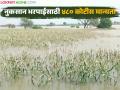 राज्यातील 'या' ६ जिल्ह्यांतील अतिवृष्टीग्रस्त शेतकऱ्यांना ४८० कोटी देण्यास मान्यता; मदत वाटप सुरू - Marathi News | Approval to provide Rs 480 crore to rain-affected farmers in these 6 districts of the state; Aid distribution begins | Latest agriculture News at Lokmat.com