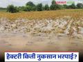 Pik Nuksan Bharpai : पिकांसाठी भरपूर खर्च केला पण सगळा पावसाने धुऊन गेला; हेक्टरी किती मिळणार मदत? - Marathi News | Pik Nuksan Bharpai : Spent a lot on crops but everything was washed away by the rain; How much assistance will you get per hectare? | Latest agriculture News at Lokmat.com