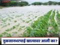 अहवालाप्रमाणे नुकसानभरपाईची संपूर्ण रक्कम मंजूर; शेतकऱ्यांच्या बँक खात्यावर पैसे जमा होण्यास सुरूवात - Marathi News | As per the report, the full amount of compensation has been approved; money is being deposited in the farmers' bank accounts | Latest agriculture News at Lokmat.com