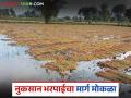 अखेर सहा महिन्यांनी या जिल्ह्यातील आठ हजार शेतकऱ्यांचे पिक विम्याचे पैसे मिळण्यास सुरवात - Marathi News | Finally, after six months, eight thousand farmers in this district started receiving crop insurance money | Latest agriculture News at Lokmat.com