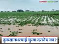 Crop Damage Compensation : मराठवाड्यातील शेतकऱ्यांना धक्का; जुन्या दरानेच नुकसानभरपाई वाचा सविस्तर - Marathi News | latest news Crop Damage Compensation : Shock to farmers in Marathwada; Compensation at old rate read in details | Latest agriculture News at Lokmat.com