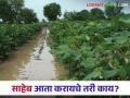 बुलढाणा जिल्ह्यात १३ मंडळांमध्ये अतिवृष्टी, शेतकरी हतबल; प्रशासनाच्या मदतीकडे डोळे - Marathi News | Heavy rains in 13 mandals of Buldhana district, farmers desperate; Eyes on the help of the administration | Latest agriculture News at Lokmat.com