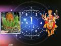Numerology: ‘या’ ७ मूलांकांवर देवीची कृपा, सुख-समृद्धीचा लाभ; कामात यश, अचानक धनलाभ! - Marathi News | numerology navratri 2024 impact and effect on all mulank numerology number navratri utsav 2024 numerology in marathi | Latest bhakti Photos at Lokmat.com