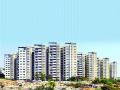 नव्या विकास नियोजन आराखड्यामुळे मुंबईतील ना विकास क्षेत्र आले संकटात - Marathi News | Due to the new development planning framework, no development zone in Mumbai came under the crisis | Latest navi-mumbai News at Lokmat.com