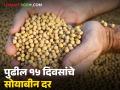 Soyabean Rate : पुढील पंधरा दिवस म्हणजेच दिवाळी आणि दिवाळीनंतर सोयाबीनचे दर कसे राहतील? - Marathi News | Latest News Soyabean Market in diwali How will soybean prices be during and after Diwali 2025 | Latest agriculture News at Lokmat.com