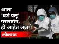 बर्ड फ्लू वेगाने पसरत असल्यामुळे त्याची लक्षणे कोणती आहेत? Bird Flu In Rajasthan | India News - Marathi News | What are the symptoms of bird flu as it spreads rapidly? Bird Flu In Rajasthan | India News | Latest national Videos at Lokmat.com