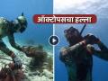 VIDEO: खतरनाक! समुद्राच्या तळाशी पोहणाऱ्या डायव्हरवर अचानक ऑक्टोपसने केला हल्ला अन् मग... - Marathi News | shocking video octopus attacked diver while swimming in sea viral social media trending | Latest social-viral News at Lokmat.com