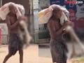 "खातेदाराला प्रत्यक्ष घेऊन या"; बँकेच्या जाचक अटीमुळे हताश भावाने बहिणीचा सांगाडाच टेबलावर ठेवला! - Marathi News | | Latest crime News at Lokmat.com