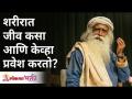 शरीरात जीव कसा आणि केव्हा प्रवेश करतो? How and when does life enter the body? Sadhguru Jaggi Vasudev - Marathi News | How and when does an organism enter the body? How and when does life enter the body? Sadhguru Jaggi Vasudev | Latest bhakti Videos at Lokmat.com