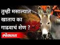 तुम्ही मसाल्यात खाताय का गाढवाचं शेण? Hathras Spice Factory | Donkey Dung Mix In Spices | Lokmat - Marathi News | Do you eat donkey dung in spices? Hathras Spice Factory | Donkey Dung Mix In Spices | Lokmat | Latest maharashtra Videos at Lokmat.com