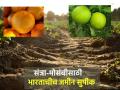 अमेरिकेपेक्षा भारतीय जमीन संत्रा-मोसंबीसाठी सुपीक - Marathi News | Indian soil is more fertile for oranges than America | Latest agriculture News at Lokmat.com