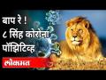 LIVE - प्राण्यांमध्ये कोरोना व्हायरस आढळल्याने चिंता | Top 5 News | Corona Virus Update - Marathi News | LIVE - Anxiety about finding corona virus in animals | Top 5 News | Corona Virus Update | Latest national Videos at Lokmat.com