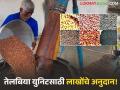 Oilseeds Unit : तेलबिया युनिटसाठी लाखोंचे अनुदान; शेतकऱ्यांसाठी केंद्र सरकारची नवी योजना वाचा सविस्तर - Marathi News | latest news Oilseeds Unit : Grant of lakhs for oilseeds unit! Read the central government's new scheme for farmers in detail | Latest agriculture News at Lokmat.com