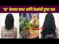 केसगळती थांबवण्यासाठी आणि केसांच्या वाढीसाठी उपाय |How Do You use Castor oil for Extreme Hair Growth - Marathi News | Remedies to stop hair loss and hair growth | How Do You use Castor oil for Extreme Hair Growth | Latest sakhi Videos at Lokmat.com
