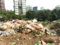प्रदूषणाविरोधात मंडळाचीच तक्रार - Marathi News | Complaint against Board for pollution | Latest thane News at Lokmat.com