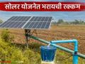 Solar Pump Scheme : सोलर पंप योजनेत शेतकऱ्यांना नेमके किती पैसे भरावे लागतात, वाचा सविस्तर - Marathi News | Latet News Solar Pump yojana How much money do farmers have to pay in solar pump scheme, read in detail | Latest agriculture News at Lokmat.com