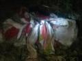 हत्या करुन व्यापाराचा मृतदेह जंगलात फेकला - Marathi News | The body of the business killed and threw dead bodies in the forest | Latest nagpur News at Lokmat.com