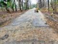 एटापल्ली-जारावंडी रस्त्याची दुरवस्था - Marathi News | The relapse of Etapalli-Jarawandi road | Latest gadchiroli News at Lokmat.com