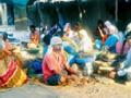 चिंच फोडण्याच्या व्यवसायातून महिलांना मिळतोय रोजगार - Marathi News | Employment from women through tinkering business | Latest gondia News at Lokmat.com