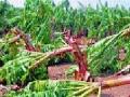 गारपीटग्रस्त शेतकर्‍यांकडून दुबार पंचनाम्याची मागणी - Marathi News | The demand for duplicate panchamas from the hailstorm affected farmers | Latest chhatrapati-sambhajinagar News at Lokmat.com