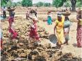 मग्रारोहयोच्या कामांवर सोयीसुविधांचा अभाव - Marathi News | Lack of facilities on Magnore's work | Latest gondia News at Lokmat.com