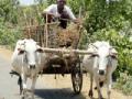 तयारी खरिपाची : - Marathi News | Preparation for Kharipachi: | Latest gondia News at Lokmat.com