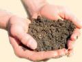 बाजार समिती करणार माती, पाणी परीक्षण - Marathi News | The market committee will do the soil, water testing | Latest amravati News at Lokmat.com