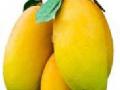 परभणीत आंबा महोत्सव - Marathi News | Parbhaniata Mango Festival | Latest chhatrapati-sambhajinagar News at Lokmat.com