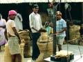 धान खरेदी बंदीचा शेतकर्‍यांना फटका - Marathi News | Farmers to stop purchase of paddy | Latest gondia News at Lokmat.com