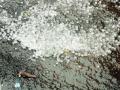 गवंडगावच्या गारपीटग्रस्तांच्या यादीतून वगळले - Marathi News | Gavanggoan hailstorm excluded from the list | Latest chhatrapati-sambhajinagar News at Lokmat.com