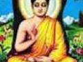 तथागत भगवान गौतम बुद्ध जयंती विविध कार्यक्रमांनी साजरी - Marathi News | Tathagata Lord Gautam Buddha Jubilee celebrates with various events | Latest chhatrapati-sambhajinagar News at Lokmat.com