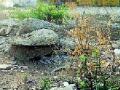 पं.दीनदयाळ उद्यान ११ वर्षांपासून बंद - Marathi News | Pondicherry Park has been closed for 11 years | Latest chhatrapati-sambhajinagar News at Lokmat.com