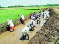 जिल्ह्यात रोजगार हमीच्या कामात गोलमाल - Marathi News | Golmaal in the work of employment guarantee in the district | Latest chhatrapati-sambhajinagar News at Lokmat.com