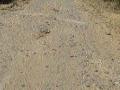 निकृष्ट दर्जाचे काम झाल्याने साळेगाव-लाखा रस्ता उखडला! - Marathi News | Salegaon-Lakh road collapsed due to poor quality work! | Latest chhatrapati-sambhajinagar News at Lokmat.com