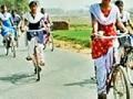 नोकरीसाठी तुकडी टिकवा - Marathi News | Maintain a bunch of jobs | Latest gondia News at Lokmat.com