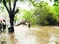 जिल्ह्यात वादळी पावसाचे तीन बळी - Marathi News | The district has three victims of rainy rainfall | Latest solapur News at Lokmat.com