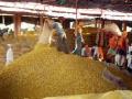 हळदीचे दर हजाराने घसरले - Marathi News | The rate of turmeric dropped by every thousand | Latest chhatrapati-sambhajinagar News at Lokmat.com