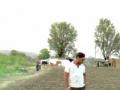 ठिबकाच्या क्रांतीमुळे आर्थिक समृद्धी - Marathi News | Economic prosperity due to the Duck Revolution | Latest chhatrapati-sambhajinagar News at Lokmat.com