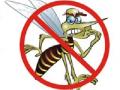 सावधान.. डास कापणार खिसा! - Marathi News | Beware .. patching mosquitoes! | Latest pune News at Lokmat.com