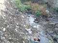 परळीत मान्सूनपूर्व कामांचा उडाला फज्जा - Marathi News | Parasite pre-monsoon fiasco | Latest chhatrapati-sambhajinagar News at Lokmat.com
