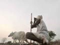 आता नजरा आकाशाकडे - Marathi News | Now look at the sky | Latest buldhana News at Lokmat.com