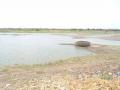 करडी तलावात एक महिना पुरेल एवढाच जलसाठा - Marathi News | Only a month's water supply in a gray lake | Latest buldhana News at Lokmat.com