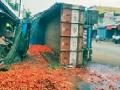 टमाटरने भरलेला ट्रक पलटला - Marathi News | Tomato-filled truck rolled over | Latest gadchiroli News at Lokmat.com