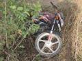 दुचाकी झाडावर आदळून एक ठार - Marathi News | One killed in a bicycle and killed | Latest buldhana News at Lokmat.com