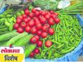 पाऊस लांबला; भाजीपाला महागला - Marathi News | Rain is far away; Vegetable expensive | Latest akola News at Lokmat.com